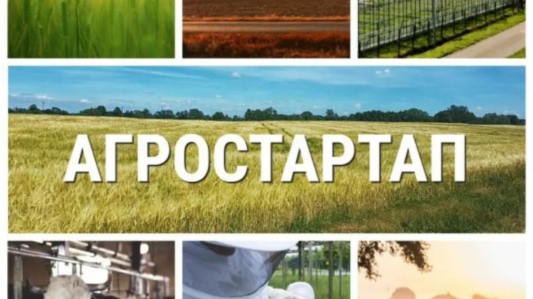 Начался конкурсный отбор проектов на получение грантов «Агростартап»