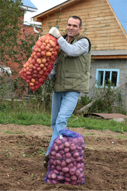 Присоединенное изображение