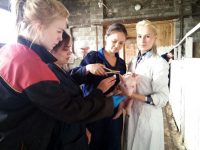 Быть ветврачом не менее престижно, чем кинологом.&nbsp;Фото из архива ЧСХА